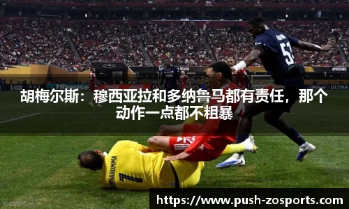中欧体育平台